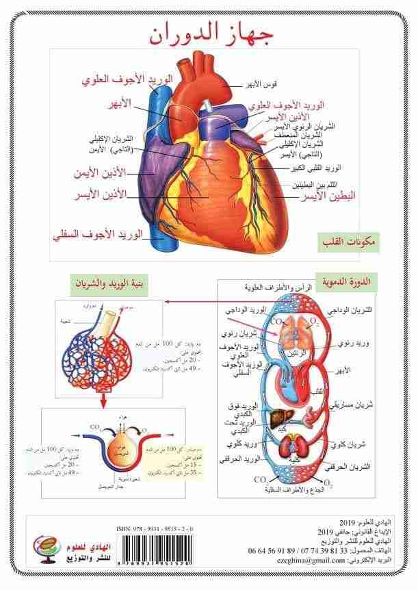 Librairie Bouarroudj - بطاقات جسم الإنسان الهادي